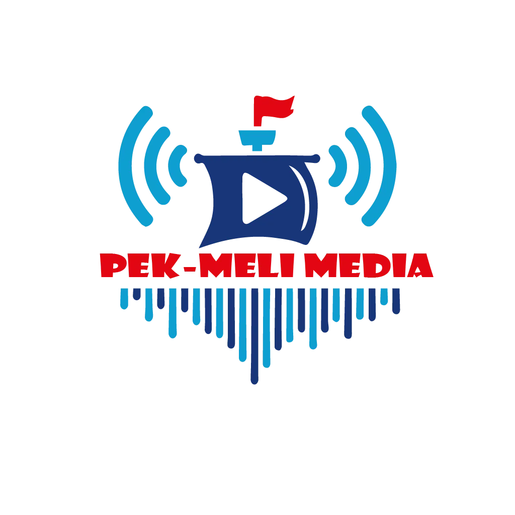 Logo 13